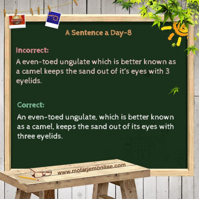 A Sentence a Day 8