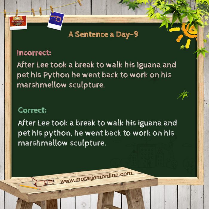 A Sentence a Day 9