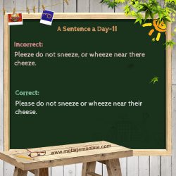 A Sentence a Day-11